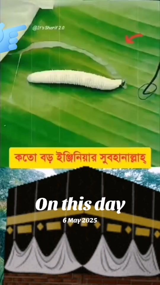 TikTok video thumbnail by jamal.hossain143