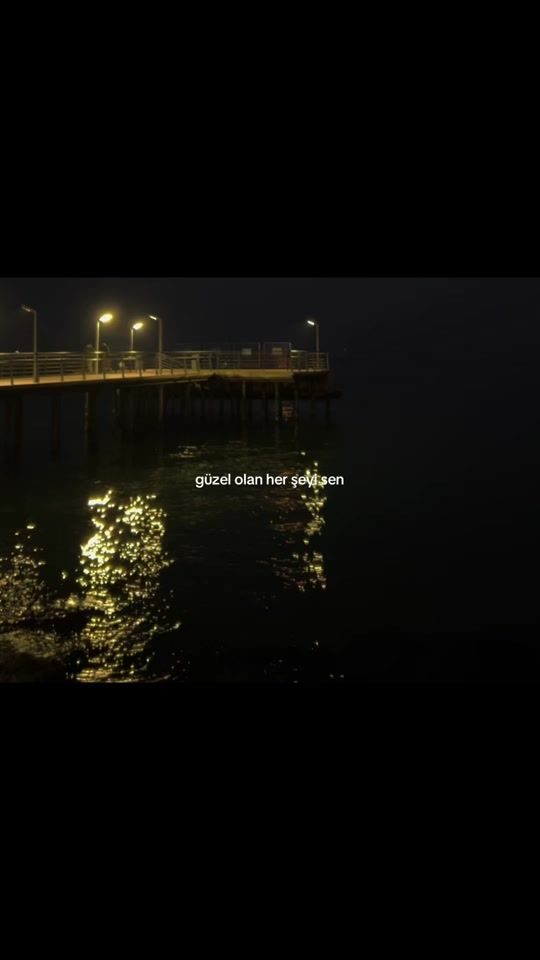 TikTok video thumbnail by dilaralyricss