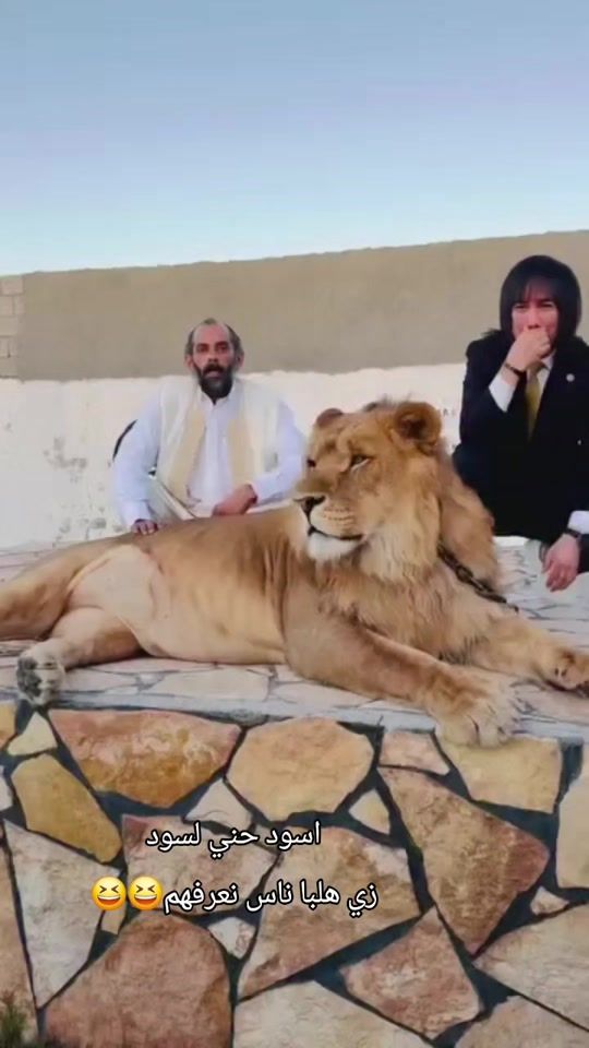 TikTok video thumbnail by hesham.218