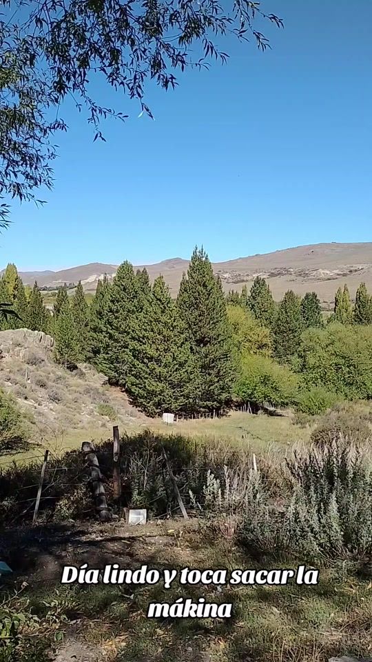 TikTok video thumbnail by beel_antimil_