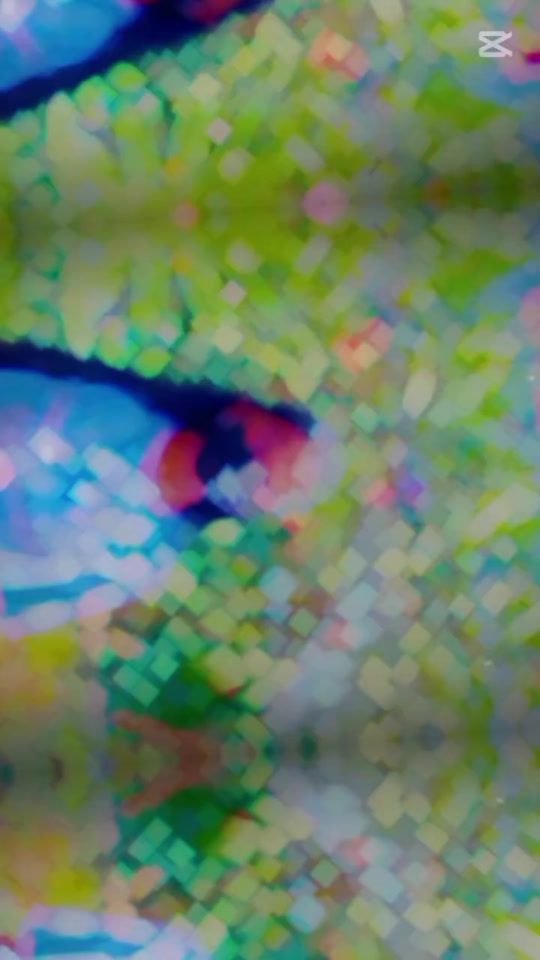 TikTok video thumbnail by dharsha84