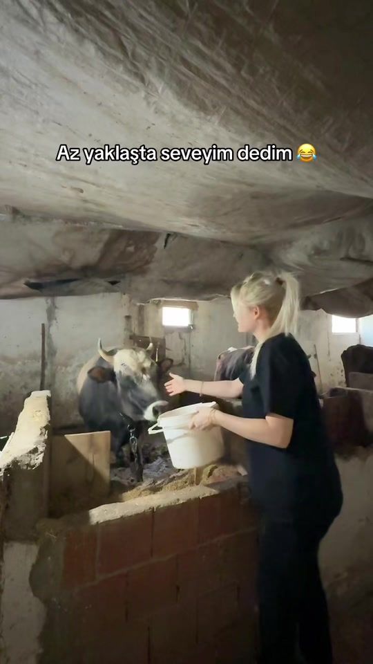 TikTok video thumbnail by neslihanadnr