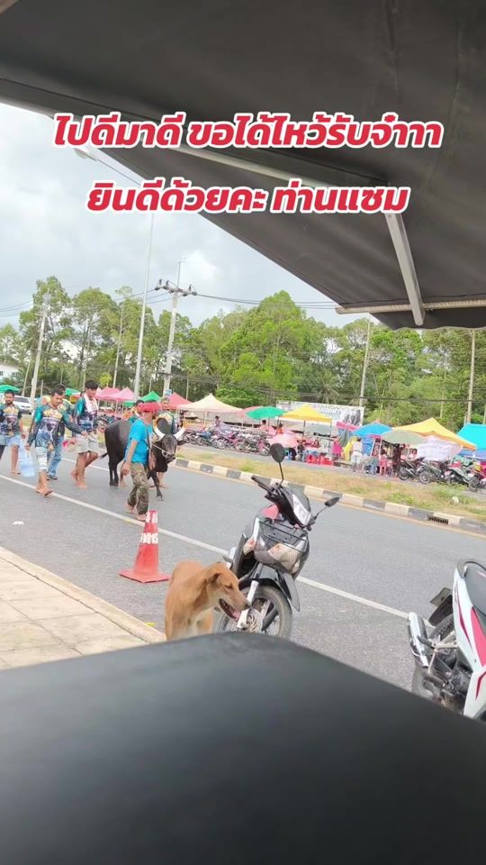 TikTok video thumbnail by an.2532