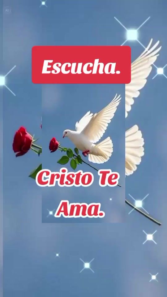 TikTok video thumbnail by pastoraaidadeorta