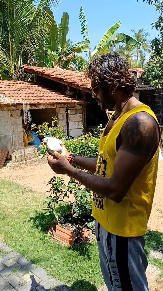 TikTok video thumbnail by manjulakumara929