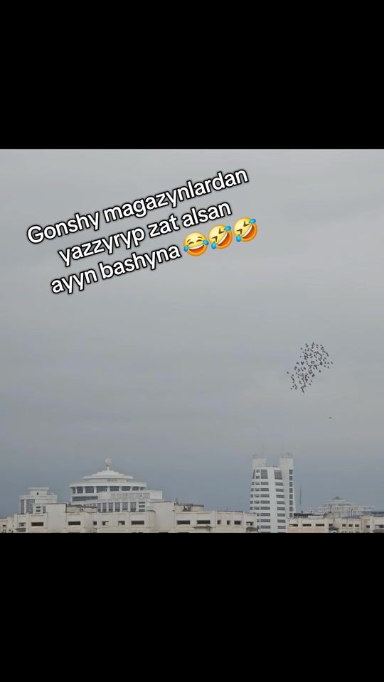 TikTok video thumbnail by elegant_atelya