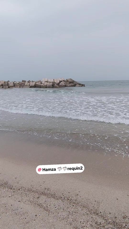 TikTok video thumbnail by hamzaski16requin
