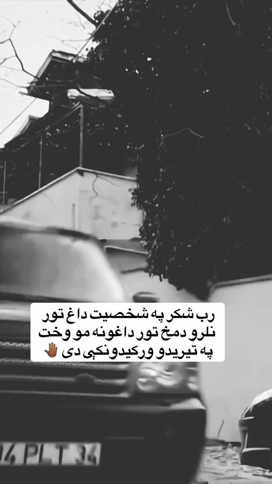 TikTok video thumbnail by armanoo_0o
