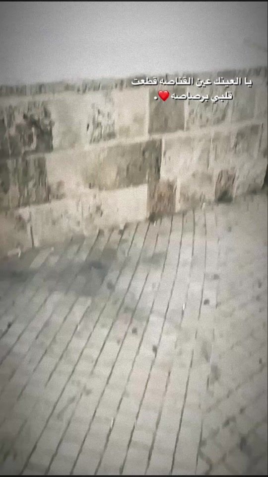 TikTok video thumbnail by carole_34093
