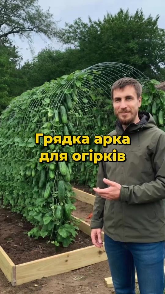 TikTok video thumbnail by drc.com.ua