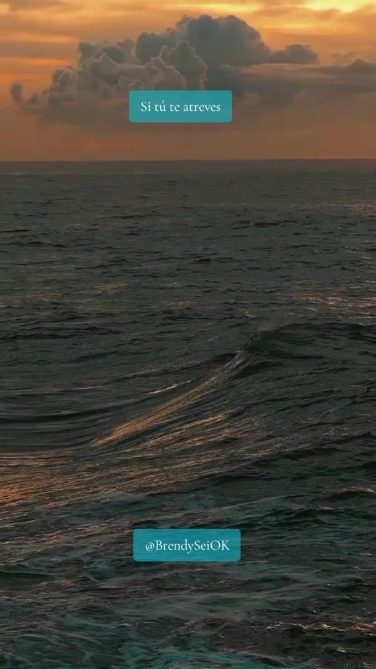 TikTok video thumbnail by brendyseiok