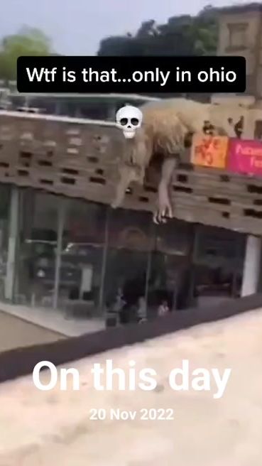 TikTok video thumbnail by ghostlytoksa