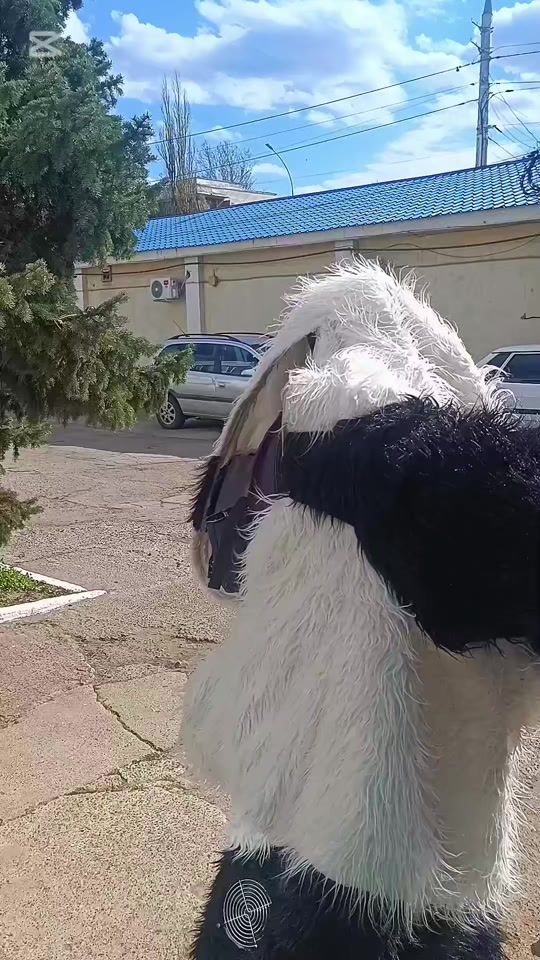 TikTok video thumbnail by mishka.valerka
