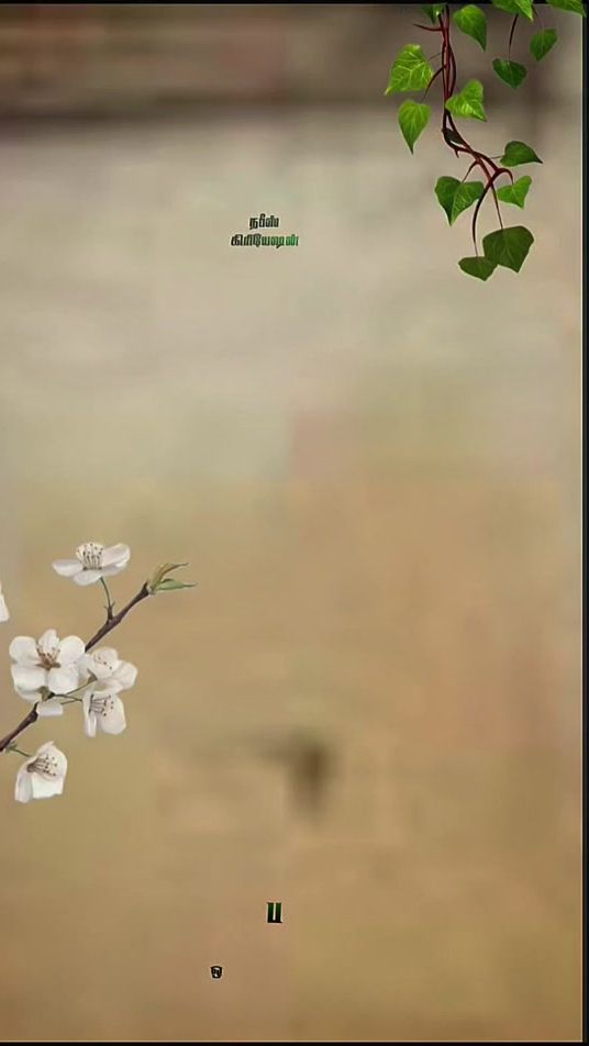 TikTok video thumbnail by nabeesnabees8