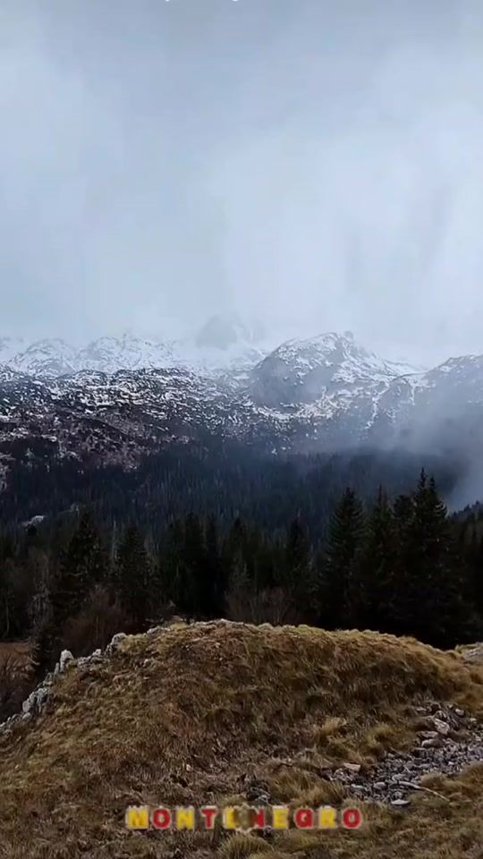 TikTok video thumbnail by svetlanabarovic
