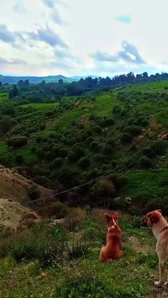 TikTok video thumbnail by soufienebeldi3