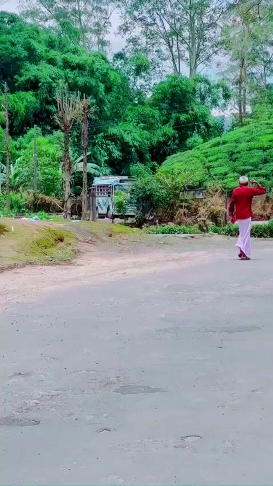 TikTok video thumbnail by kashvika__bus