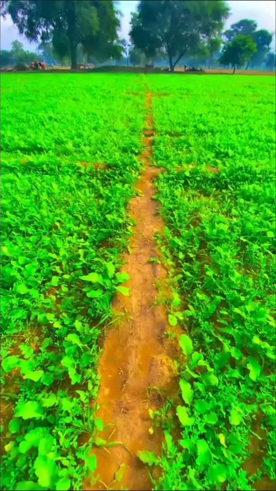 TikTok video thumbnail by parththitheepan
