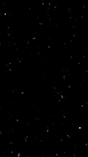 TikTok video thumbnail by ..r1ly