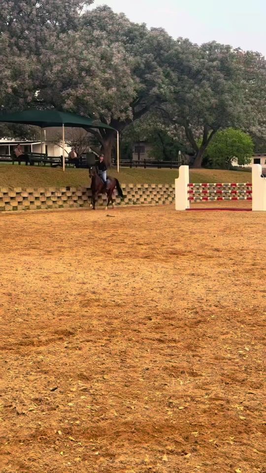 TikTok video thumbnail by jennak_equestrian