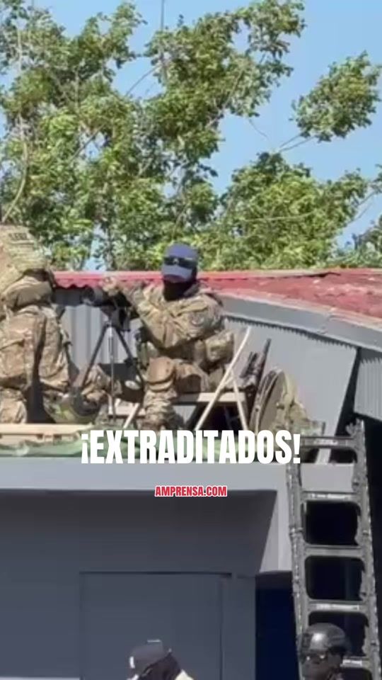TikTok video thumbnail by amprensa.com
