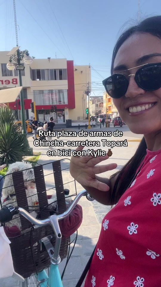 TikTok video thumbnail by giselaflores.pe