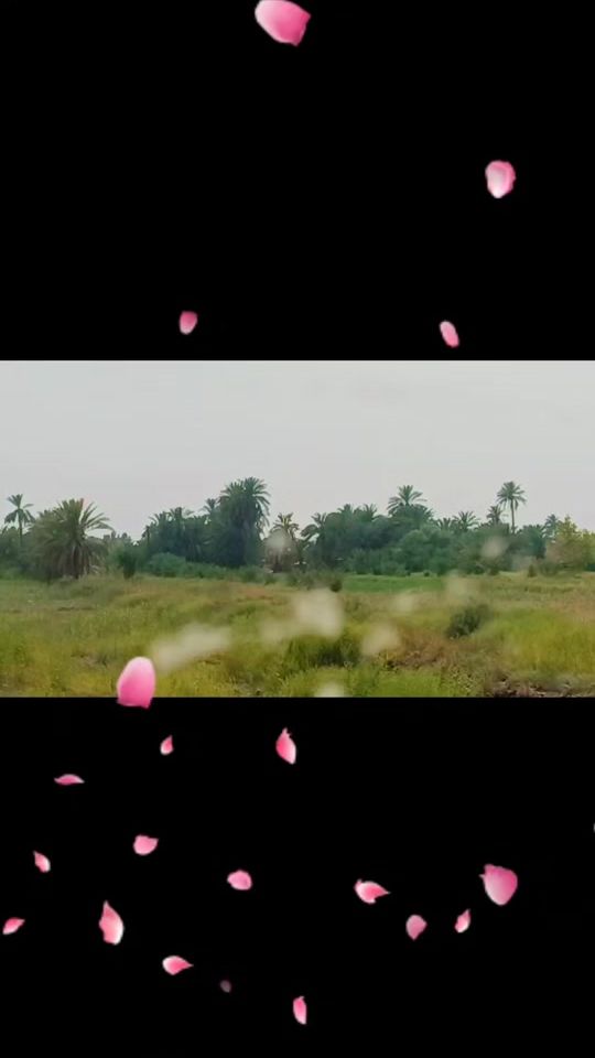 TikTok video thumbnail by sfdu_46