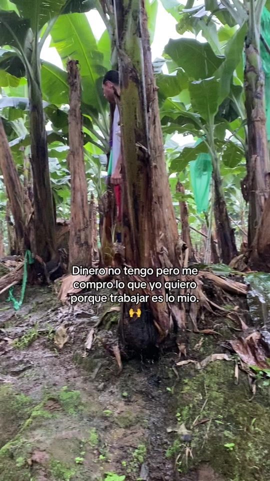 TikTok video thumbnail by davicito_69x