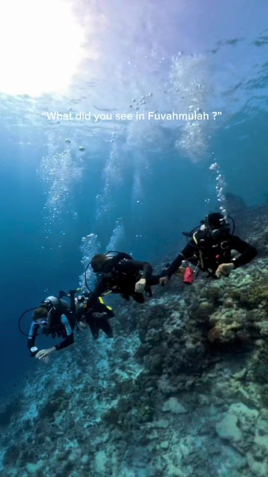 TikTok video thumbnail by fuvahmulahcentraldive