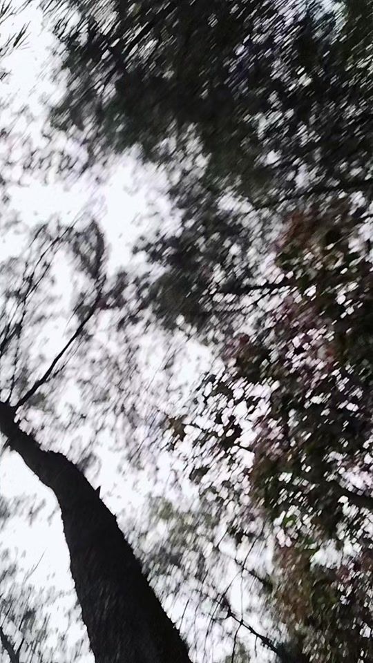 TikTok video thumbnail by iwan_ardy17