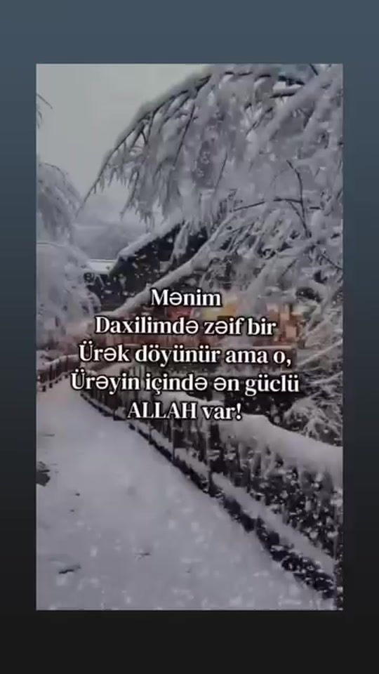 TikTok video thumbnail by mirzeliyev019