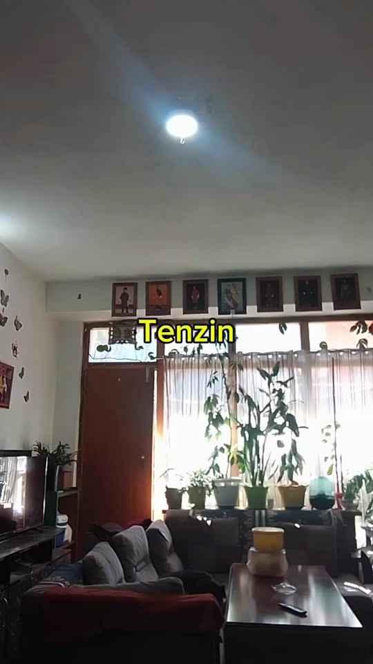 TikTok video thumbnail by kinley.wangyel.vi