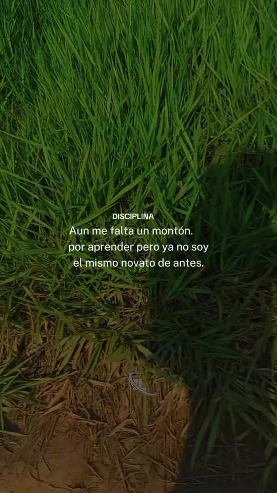 TikTok video thumbnail by vicoali390