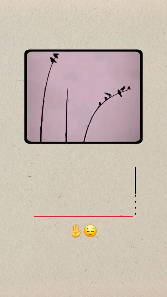 TikTok video thumbnail by k.....308
