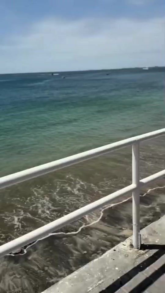 TikTok video thumbnail by jorgetoledodirector