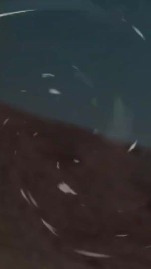 TikTok video thumbnail by .ali1141