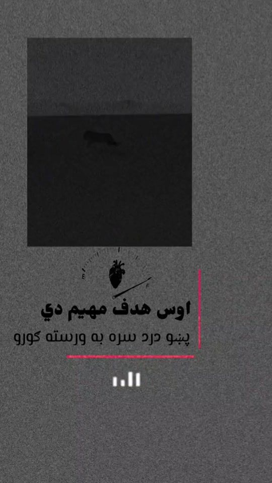 TikTok video thumbnail by paktiawal.97