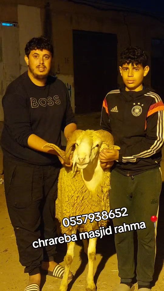 TikTok video thumbnail by imaddin457