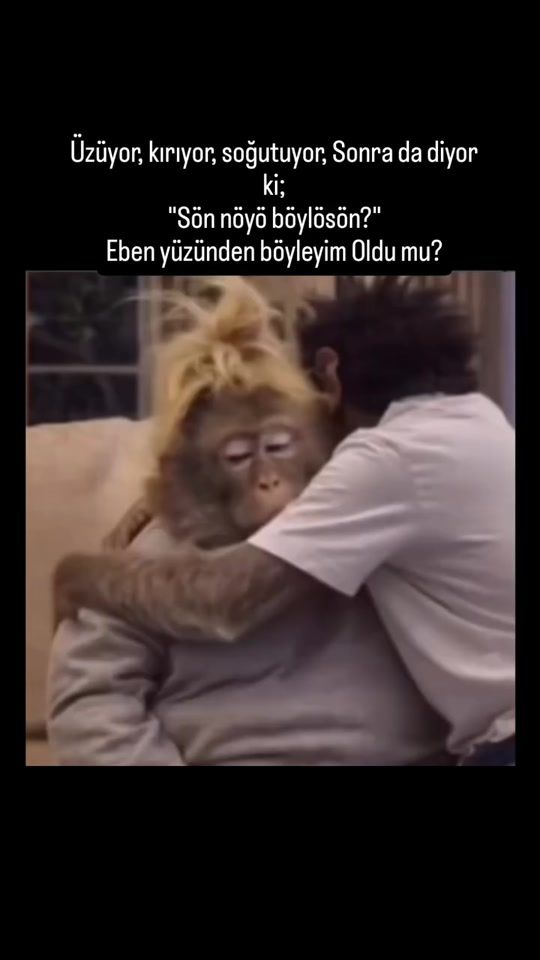TikTok video thumbnail by yumor_time95