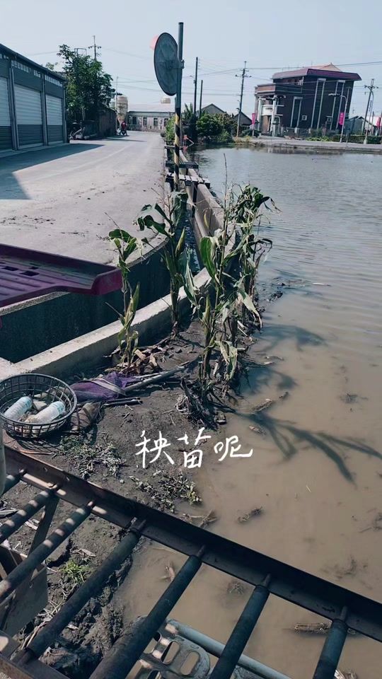 TikTok video thumbnail by user1025621685754