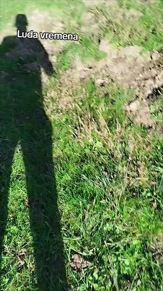 TikTok video thumbnail by _aca_06_