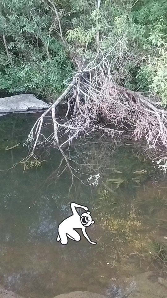 TikTok video thumbnail by sil6612