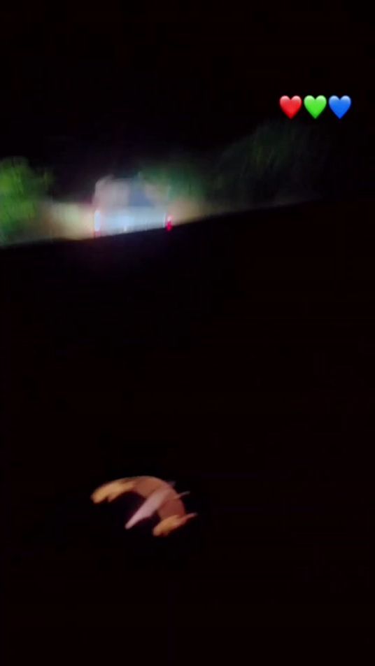 TikTok video thumbnail by user67650146920607