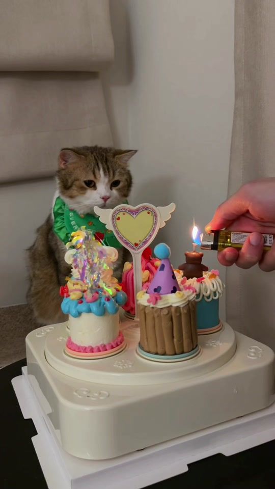 TikTok video thumbnail by mungkuuuud