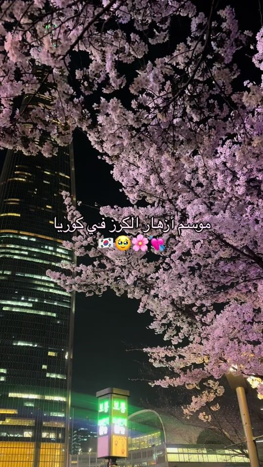 TikTok video thumbnail by molly_yasser