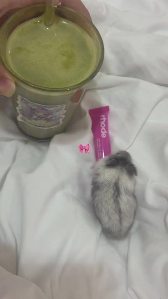 TikTok video thumbnail by memo_coquette