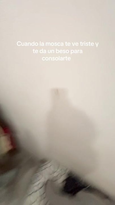 TikTok video thumbnail by liebres.111