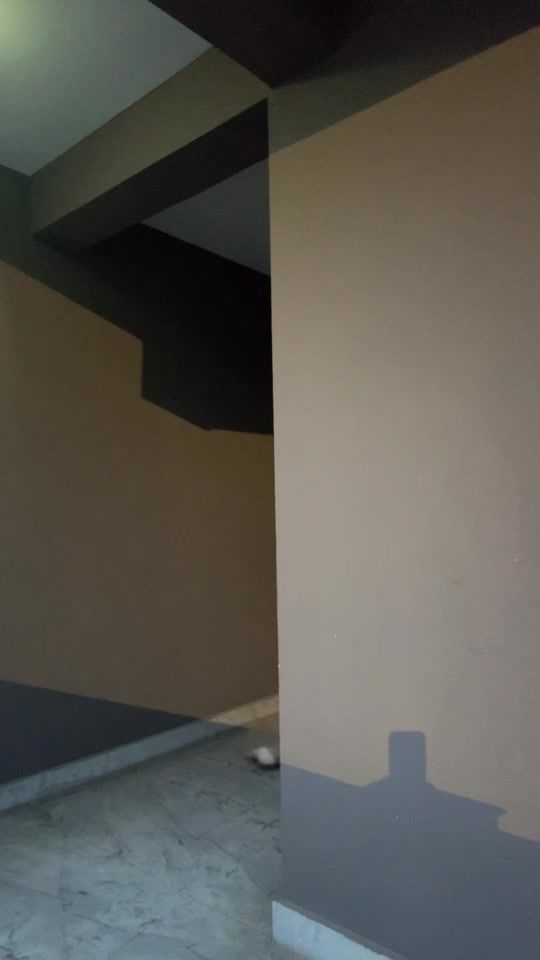 TikTok video thumbnail by _karanjit
