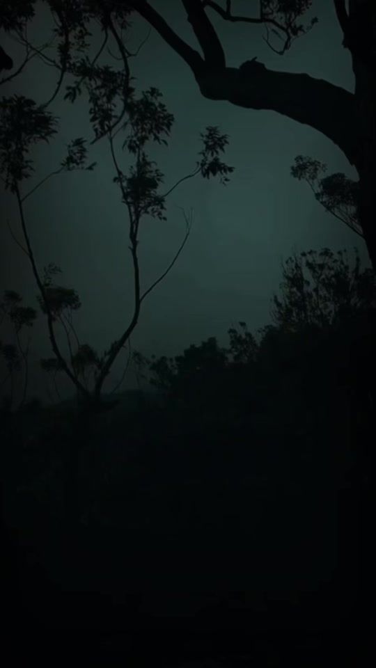 TikTok video thumbnail by b0limv