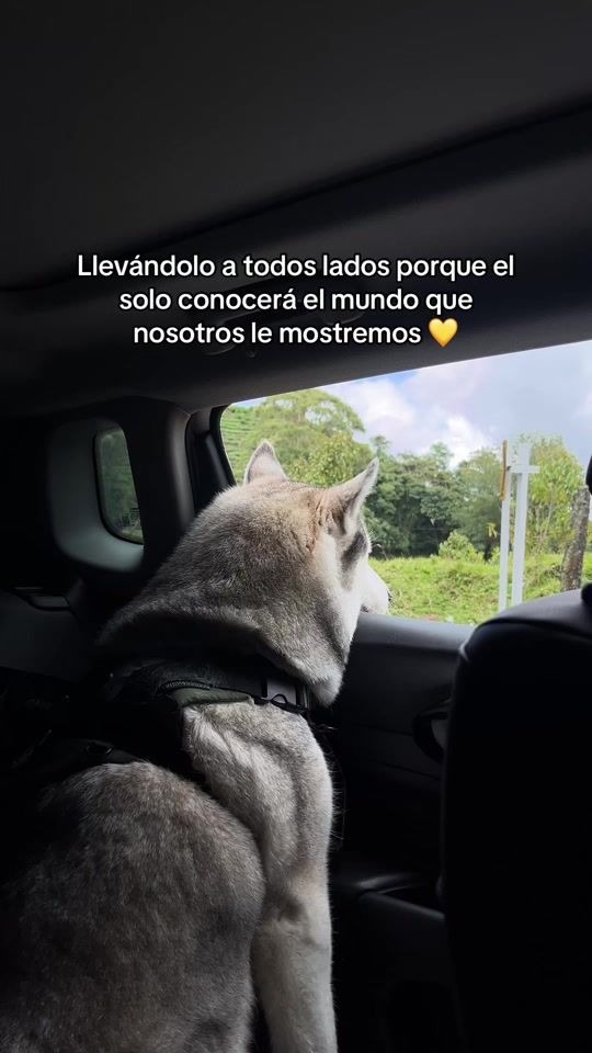 TikTok video thumbnail by _nikollrodriguez